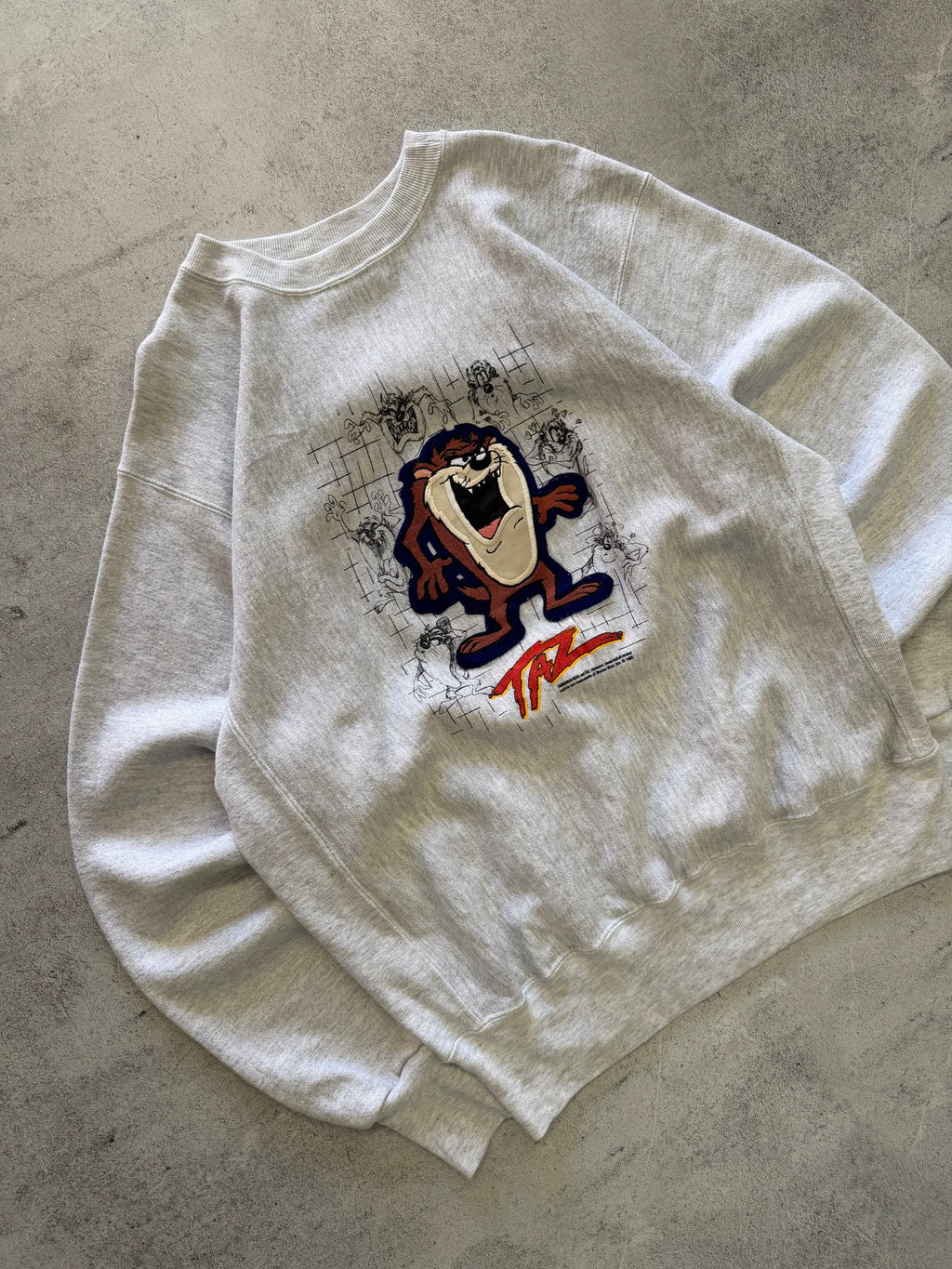 Vintage Genus Taz Tasmanian Devil Sweatshirt - L