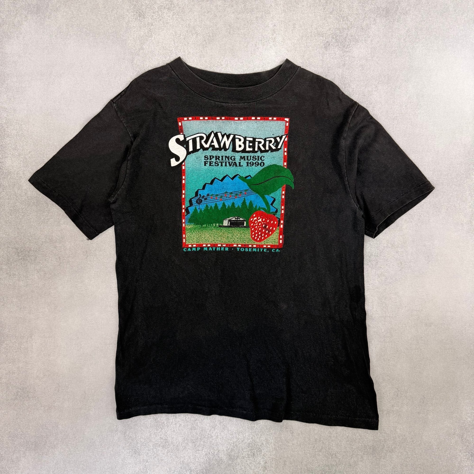 Strawberry Spring Music Festival 1990 T-Shirt - L