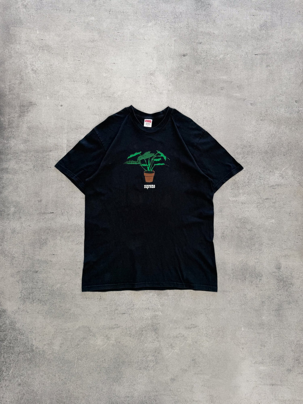 Supreme Botanical Graphic T-Shirt - L