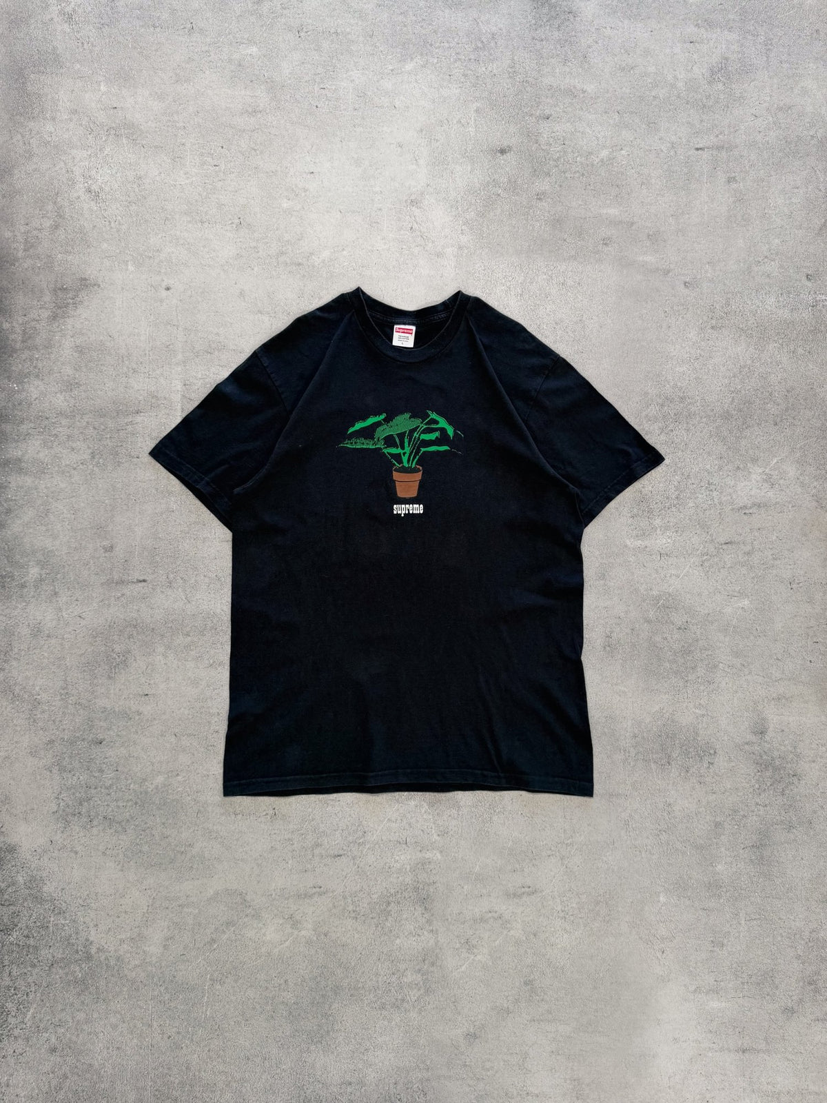 Supreme Botanical Graphic T-Shirt - L