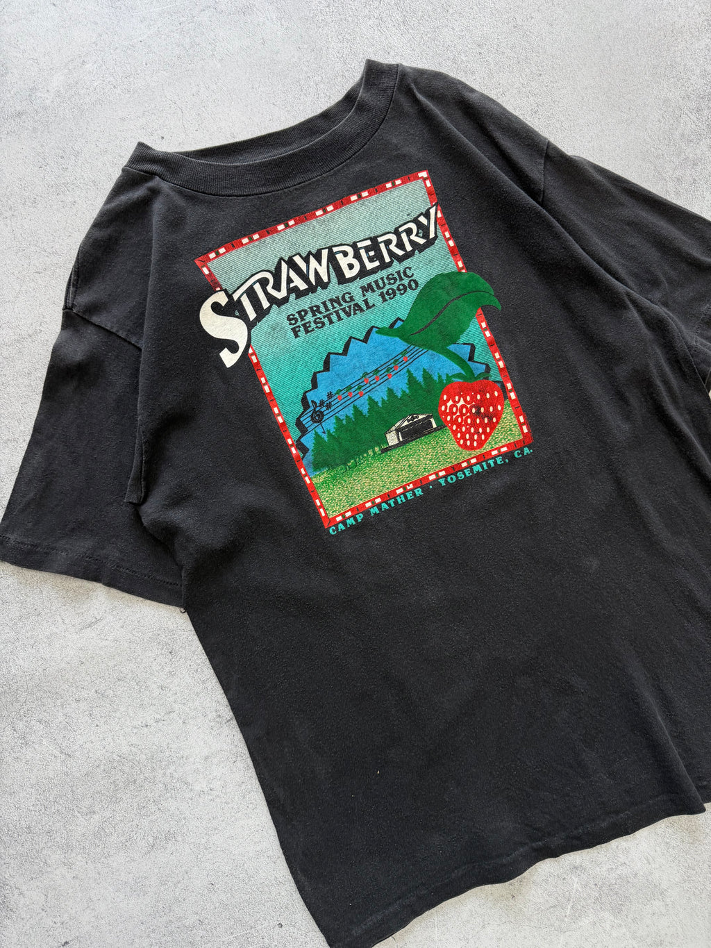 Strawberry Spring Music Festival 1990 T-Shirt - L